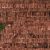 Terracota Bark